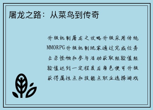 屠龙之路：从菜鸟到传奇